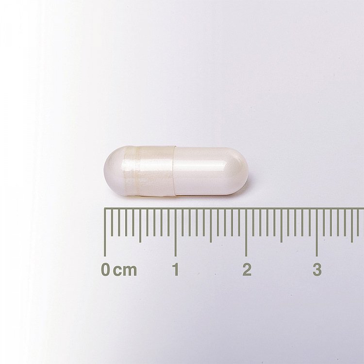 Lamberts Neuro-Logical PEA, 60caps