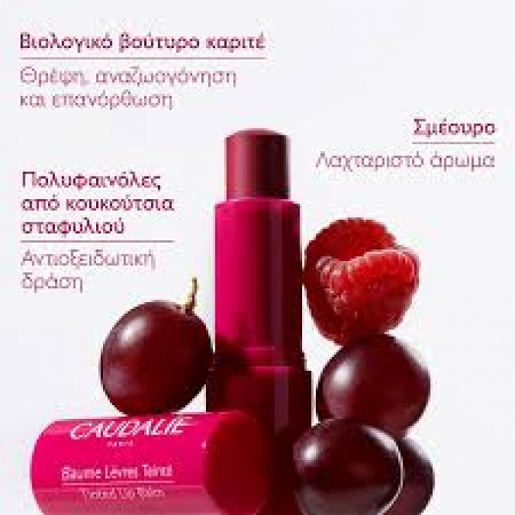 Caudalie Vinotherapist Tinted Lip Balm 4.5gr