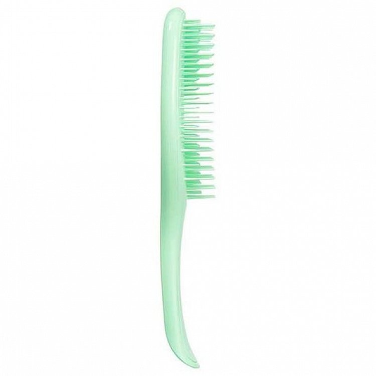 Tangle Teezer The Wet Detangler Neo Mint