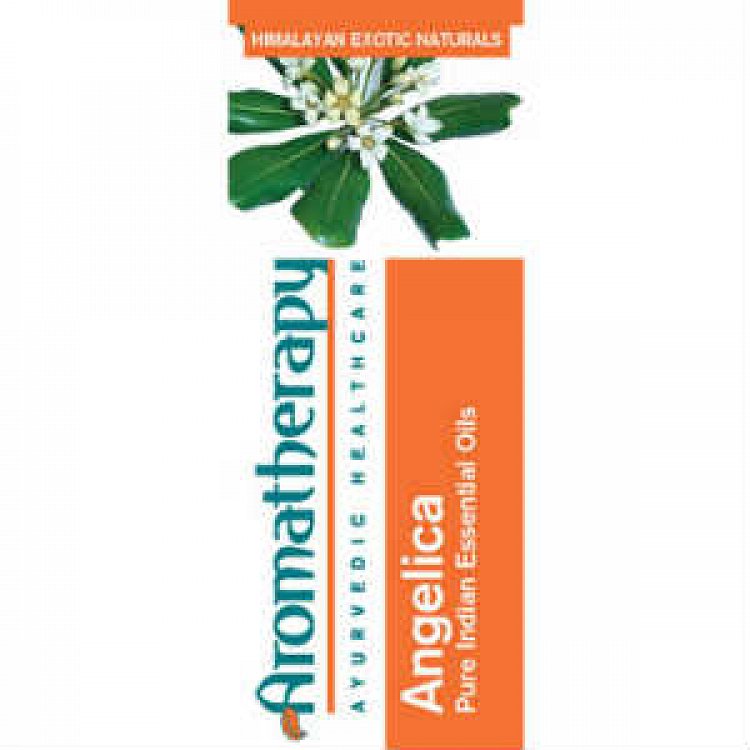 Ayurveda Aromatherapy Angelica Essential Oil