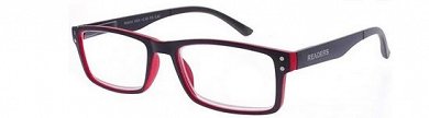 Readers RD604 Presbyopia Glasses