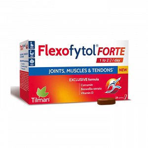 Tilman Flexofytol Forte 28 tabs