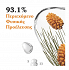 Korres Black Pine Primus Day Cream 40ml