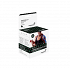 Anatomic Line Kinesiology Athletic Tape 5m Logomania