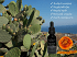 SantOrganics Organic Prickly Pear Oil 10ml