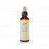 Bach Gentian - 20ml