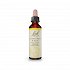 Bach Scleranthus 20ml
