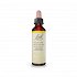 Bach Wild Oat - 20ml