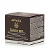 Apivita Queen Bee Holistic Anti-Aging Eye Cream 15ml