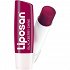 Liposan Blackberry Shine Stick 5.5ml