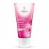 Weleda Wildrose Hydration Cream