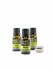 Herbes Del Moli Essential Oil Sage