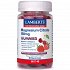 Lamberts Magnesium Citrate 150mg 40 gummies