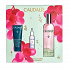 Caudalie Beauty Elixir Xmas Set