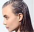 Phyto Scalp Solution Purifying Cleansing Scrub 200ml