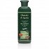 Anemos Mastic & Herbs Shampoo for Normal Hair 300ml