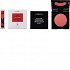 Korres Wild Rose Brightening Vibrant Color Blush 12 Golden Pink 5.5g