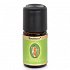 Primavera Rosemary (Rosemary Oil) Bio 5ml Essential Oil