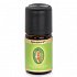 Primavera Mint (Spearmint) Bio 5ml Essential Oil