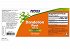 Nowfoods DANDELION ROOT 500mg 100 CAPS
